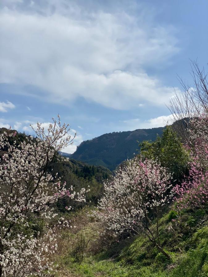 ホテル ゆふいん旅庵 和山豊 大分市 エクステリア 写真