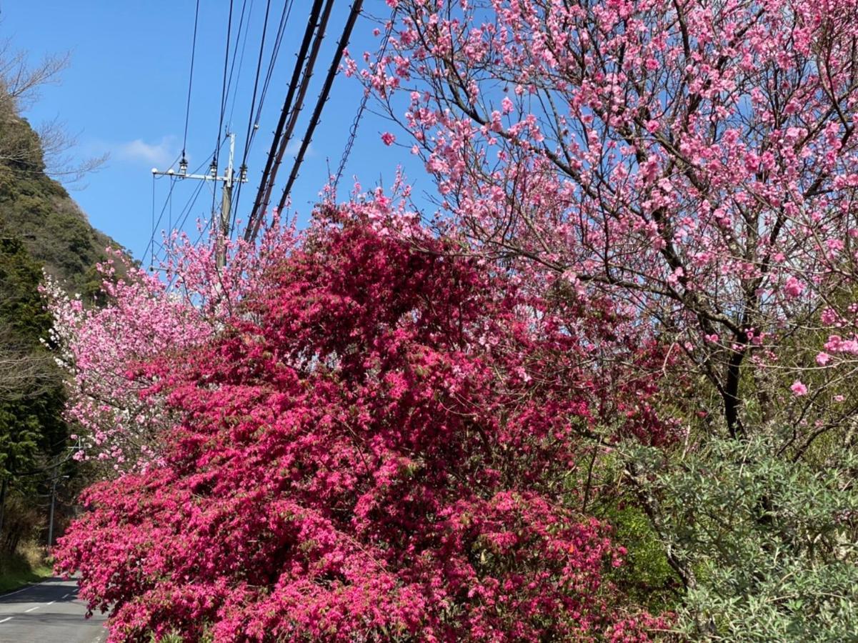 ホテル ゆふいん旅庵 和山豊 大分市 エクステリア 写真